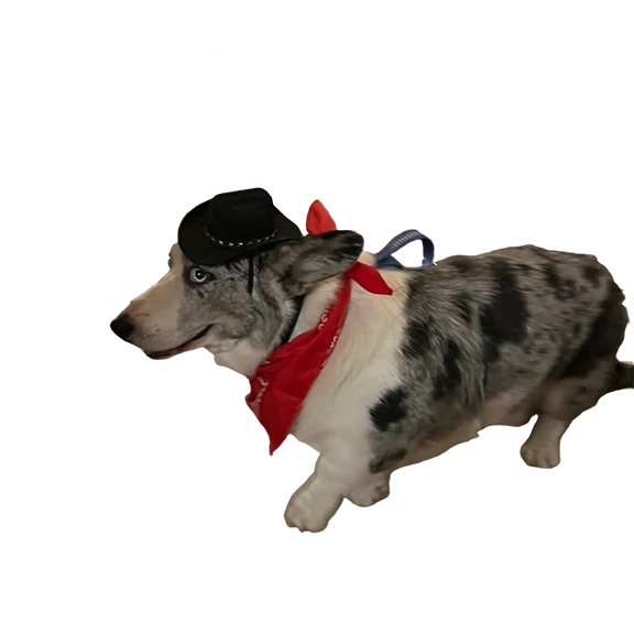 Treats and Trails logo